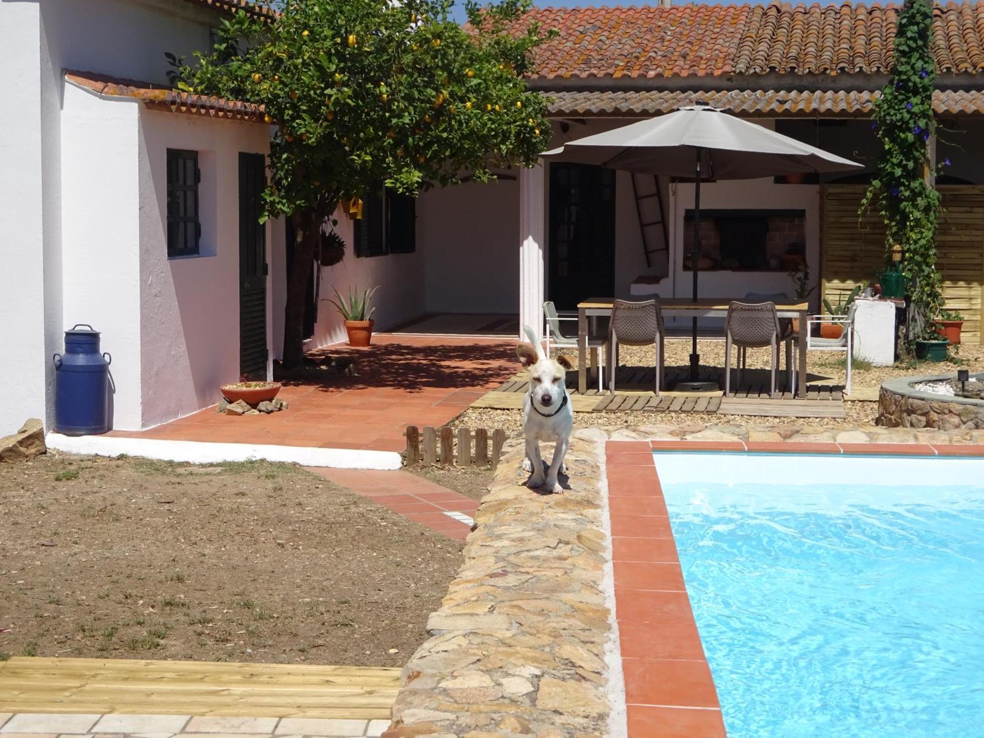 New Village Vila Nova da Baronia Exterior foto